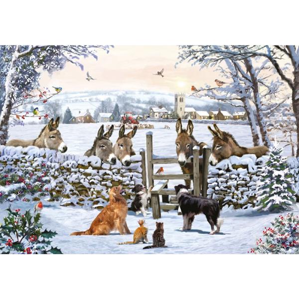 Donkey Encounter 1000 Piece Jigsaw Puzzle