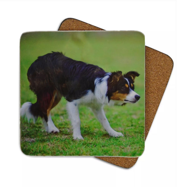 Working Border Collie - 6 Coasters