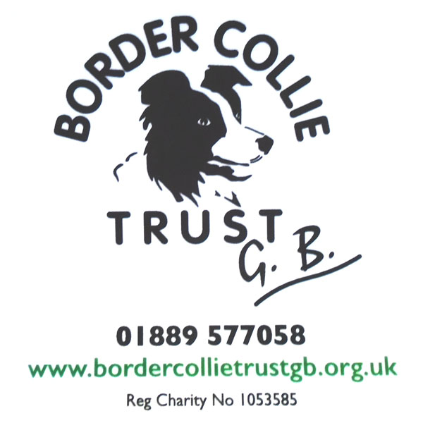 Border Collie Trust GB Window Sticker