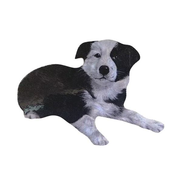 Border Collie Pup Fridge Magnet