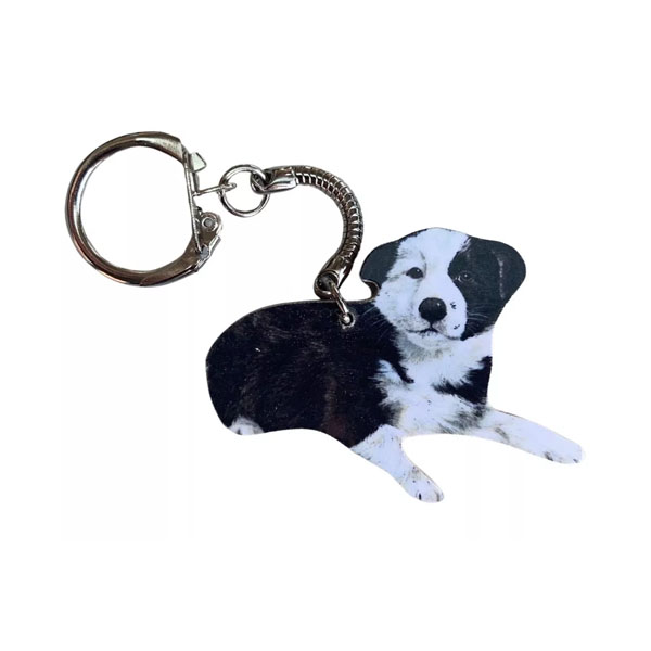 Border Collie Puppy Keyring