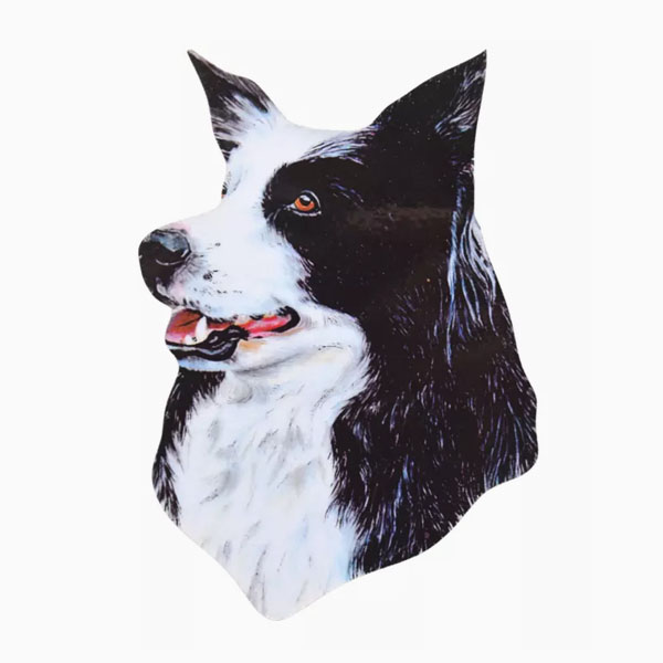 Border Collie Head Fridge Magnet