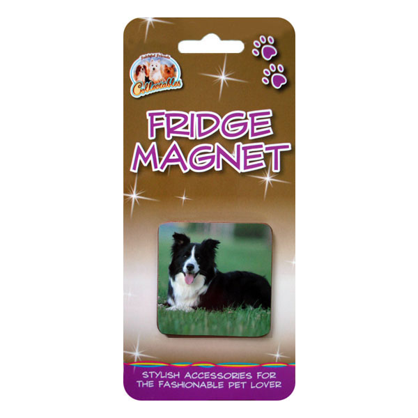 Border Collie Square Fridge Magnet