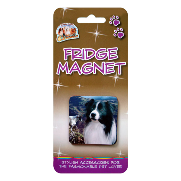 Border Collie Square Fridge Magnet