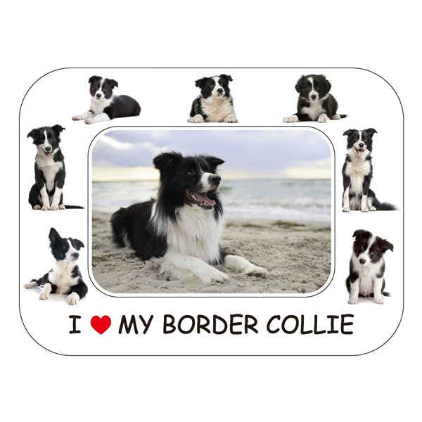 Border Collie Photo Frame Fridge Magnet