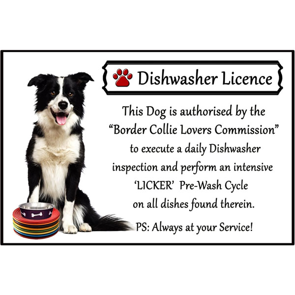 Border Collie Dishwasher Licence Fridge Magnet