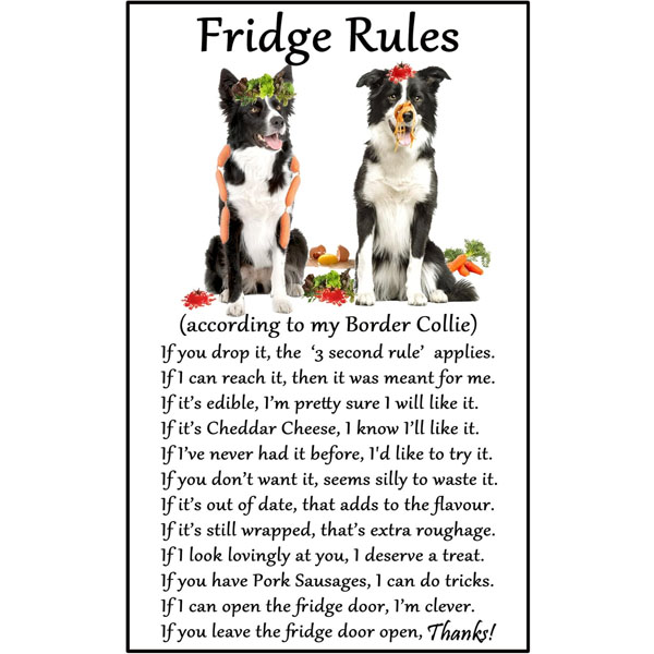 Border Collie Fridge Rules Magnet