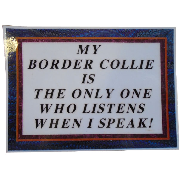 ''My Border Collie is the only one who listens'' Sticker