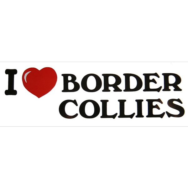 ''I Love Border Collies'' Sticker