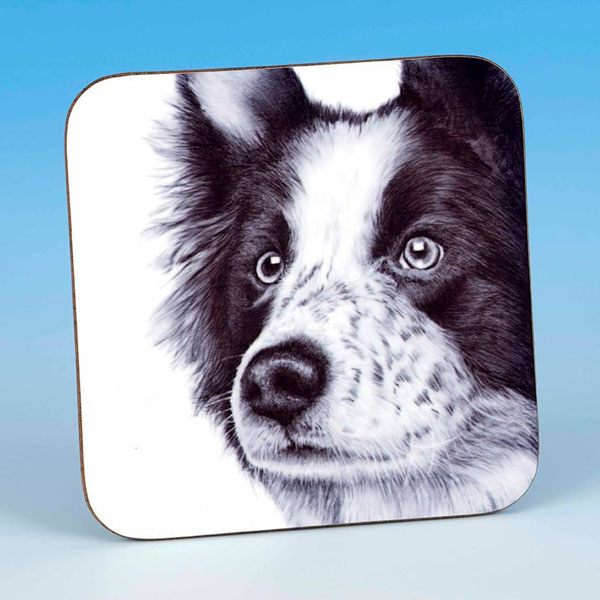 Mark Charles Border Collie Coaster