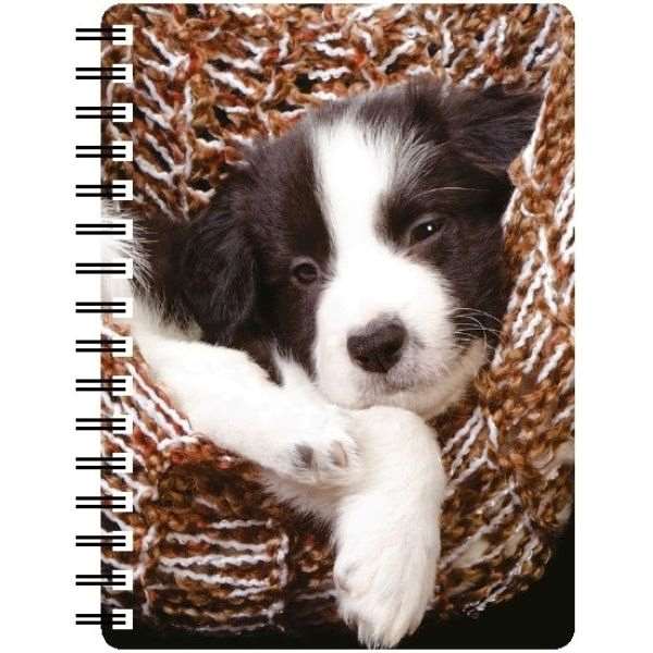 3D Border Collie Puppy Notebook