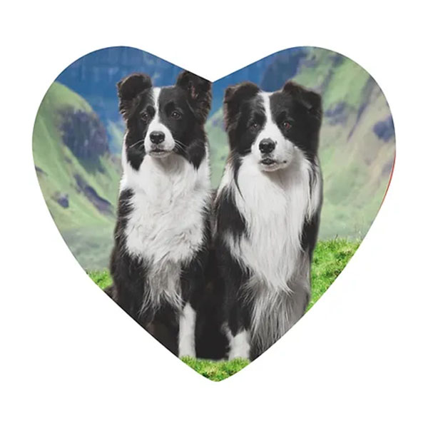 Border Collie Heart Shaped Fridge Magnet