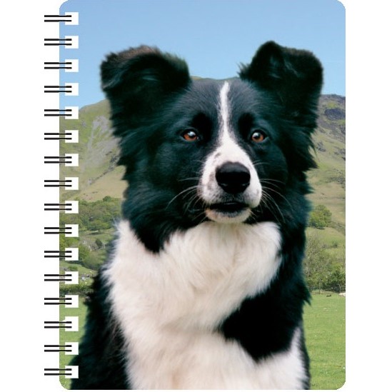 3D Border Collie Notebook