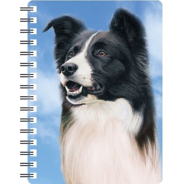 3D Border Collie Notebook