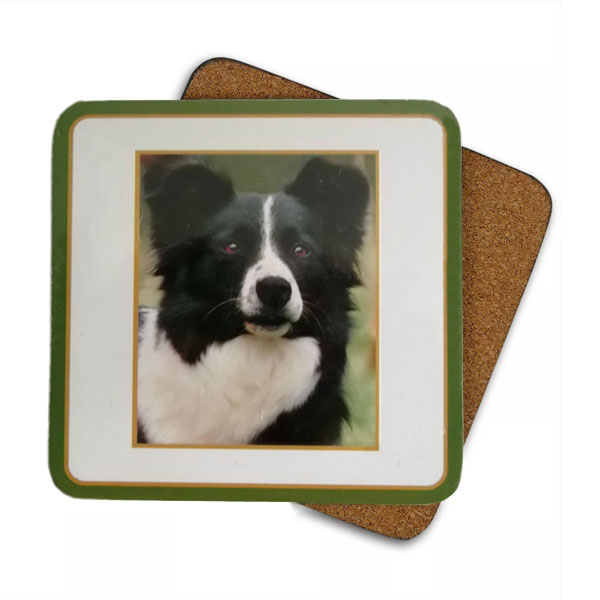 Border Collie - 6 Coasters