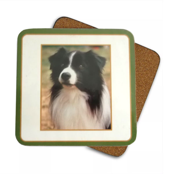 Border Collie - 6 Coasters