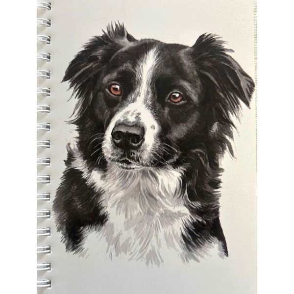 Border Collie A6 Notebook