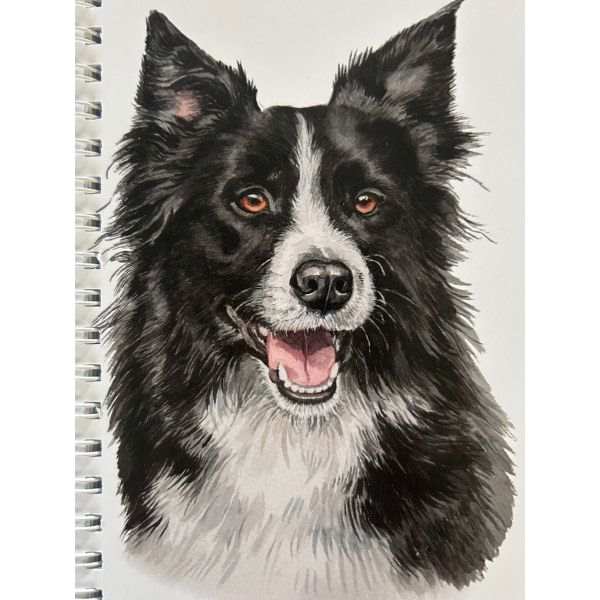 Border Collie A6 Notebook