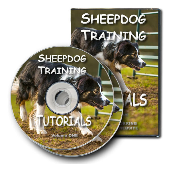 Sheepdog Training Tutorials - Vol 1