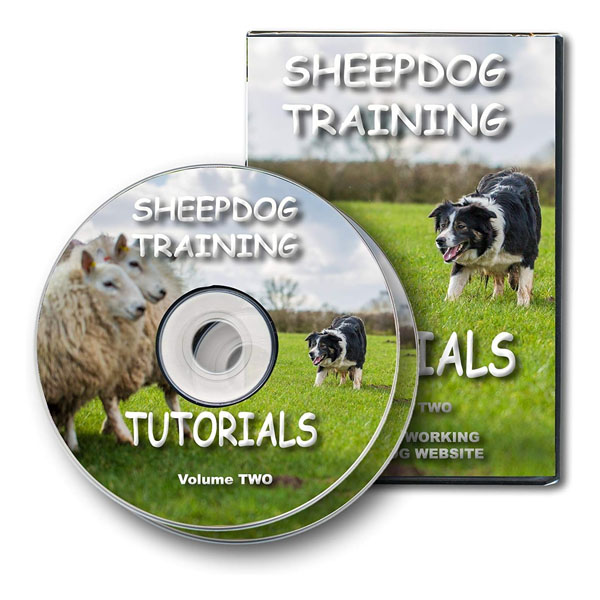 Sheepdog Training Tutorials - Volume 2