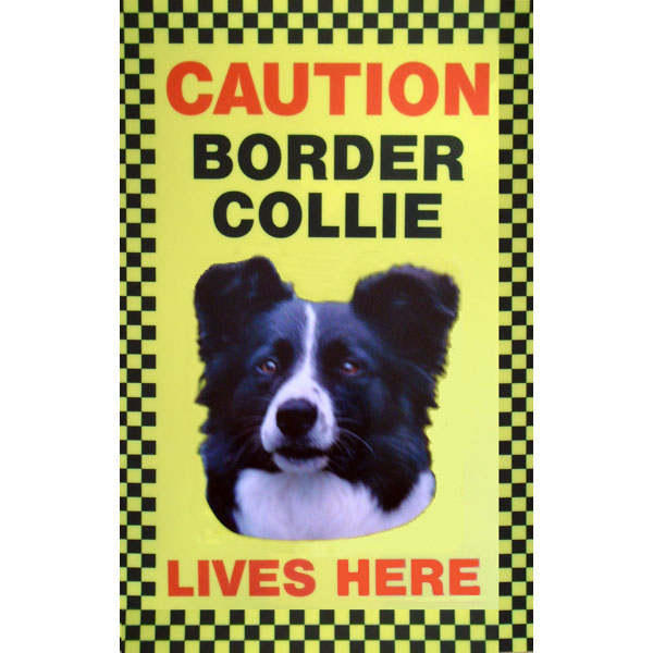 ''Caution Border Collies Lives Here'' Sign