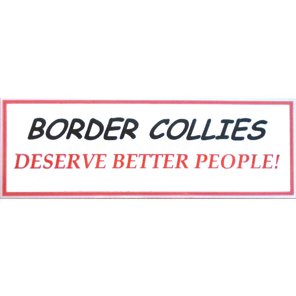 ''Border Collies Deserve Better People!'' Sticker