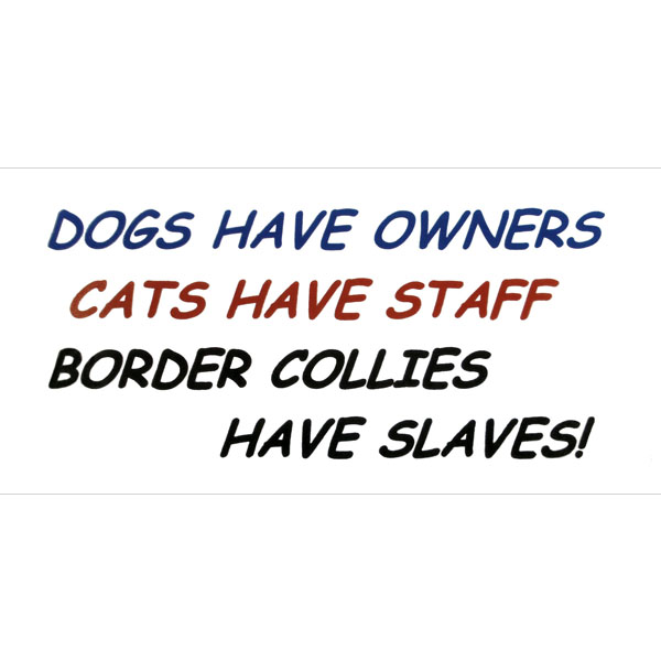 ''Dogs have Owners'' Sign