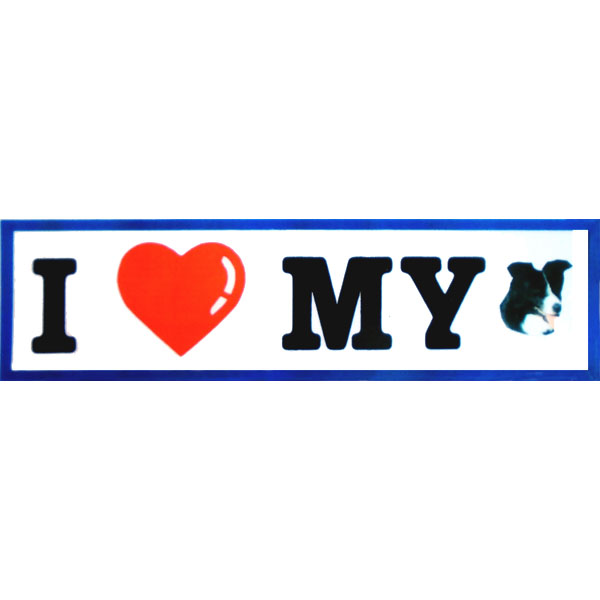 ''I Love My Border Collie'' Sticker