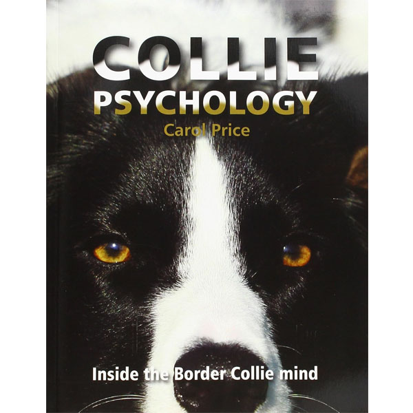 Collie Psychology: Inside The Border Collie Mind