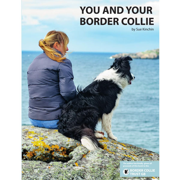 You And Your Border Collie