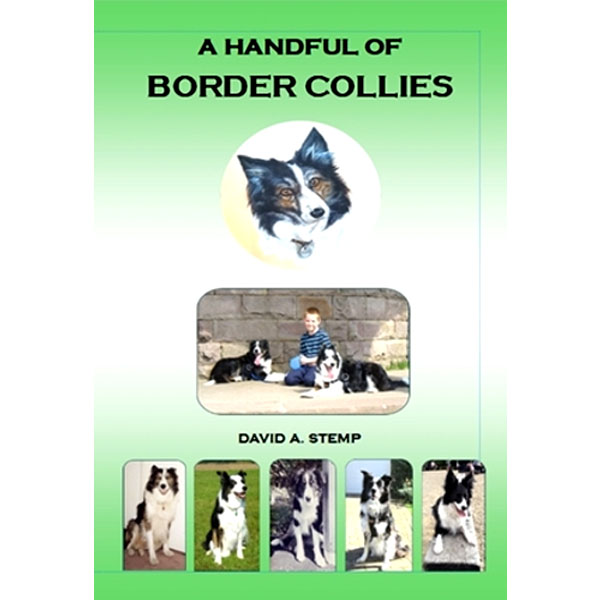 A Handful Of Border Collies