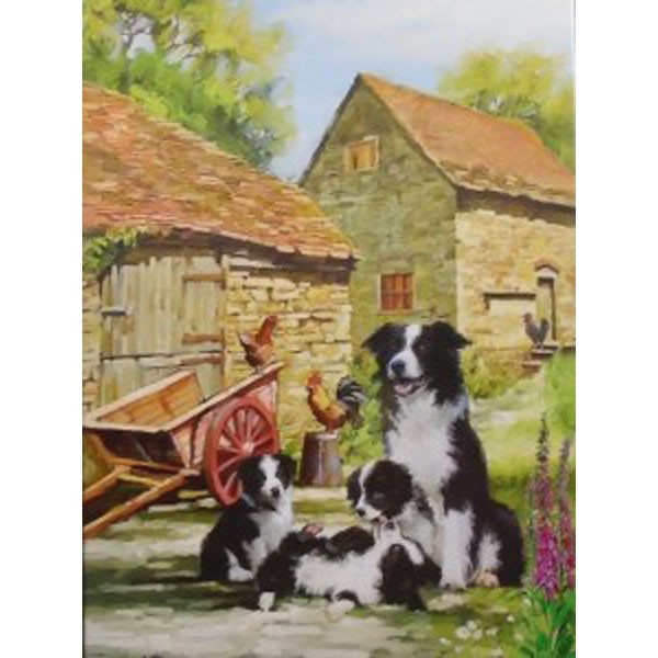 The Farm Yard Collies