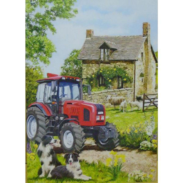 Tractor And Collies