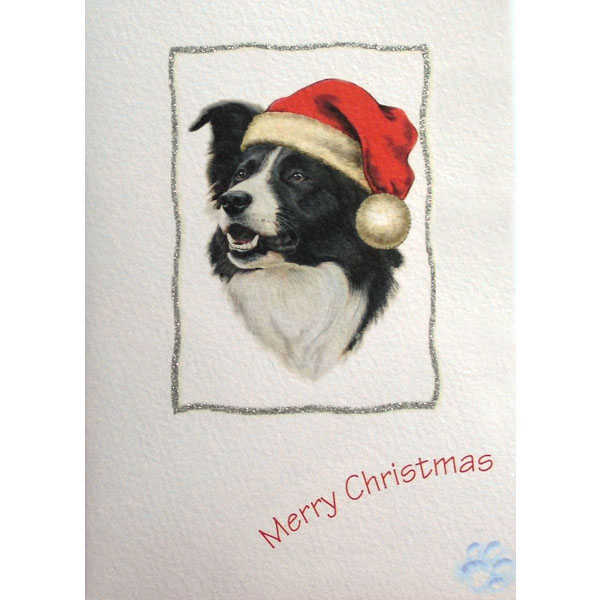 Festive Border Collie