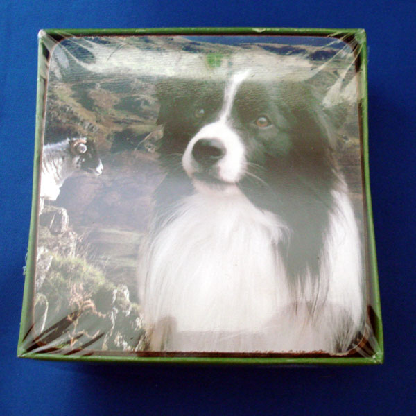 Border Collie - 6 Coasters