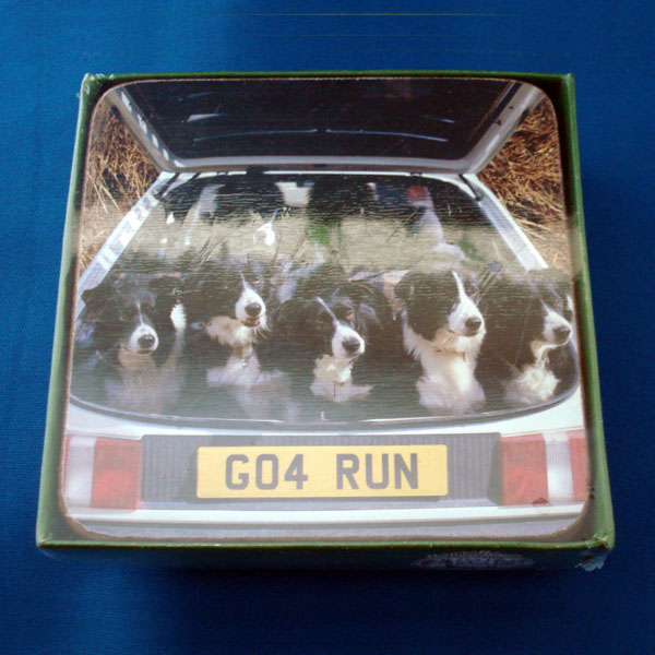 Border Collie - 6 Coasters