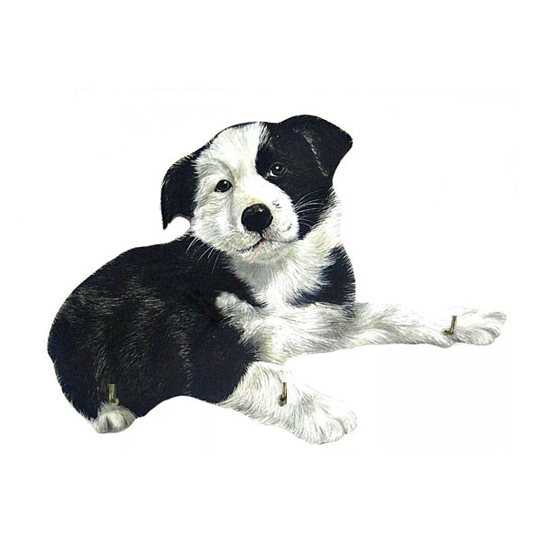 Large Border Collie Puppy Key Rack