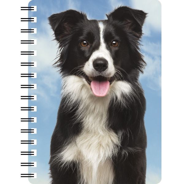 3D Border Collie Notebook