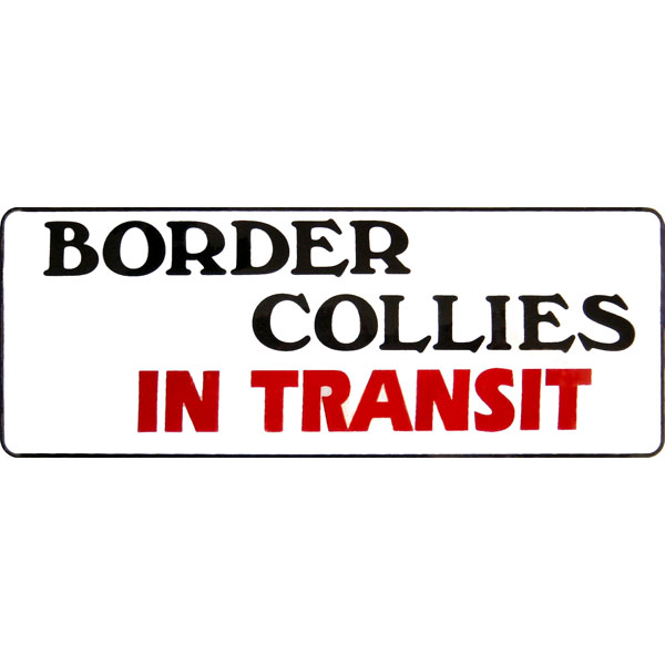 ''Border Collies In Transit'' Sticker