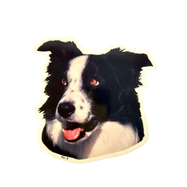 Black and White Border Collie Head Sticker