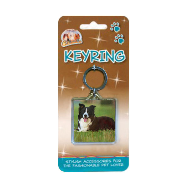 Square Lying Border Collie Keyring