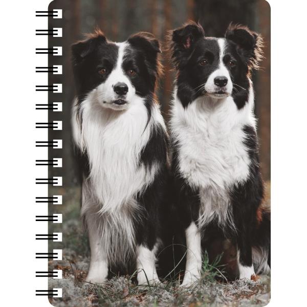 3D Border Collies Notebook