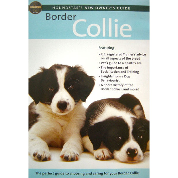 New Owners Guide To Border Collies