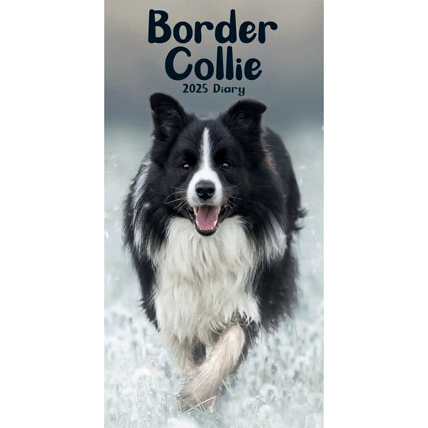 Border Collies Slim Diary 2025