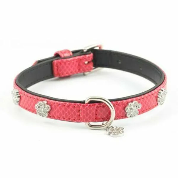 Sparkly Paw Crock Collar