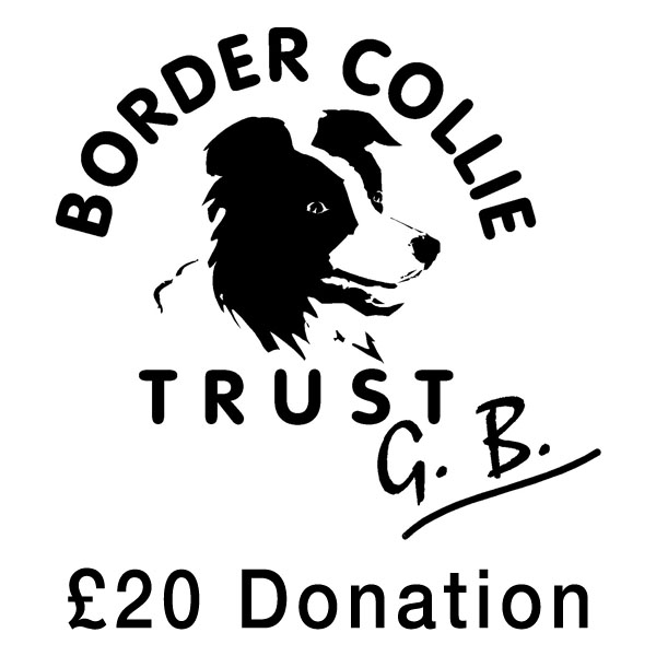 Twenty pound donation to help the BCTGB. Thank you